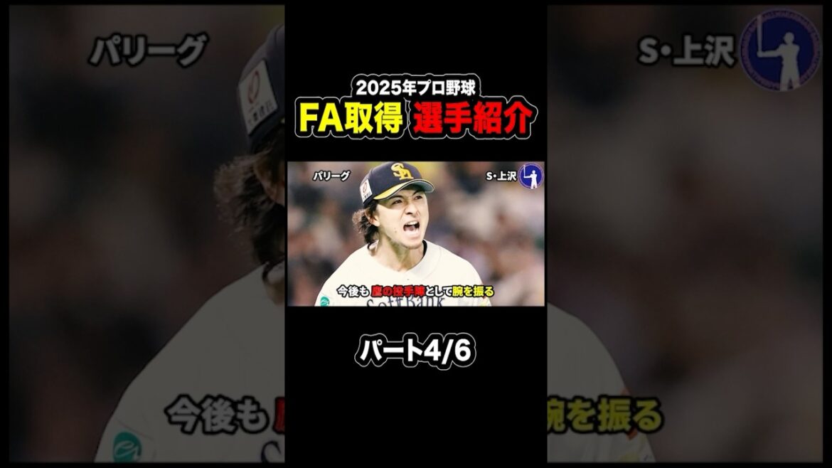 【全18名】2025年にFA取得選手を紹介！パート4/6 #プロ野球 #baseball #モイネロ #上沢直之 #fa移籍