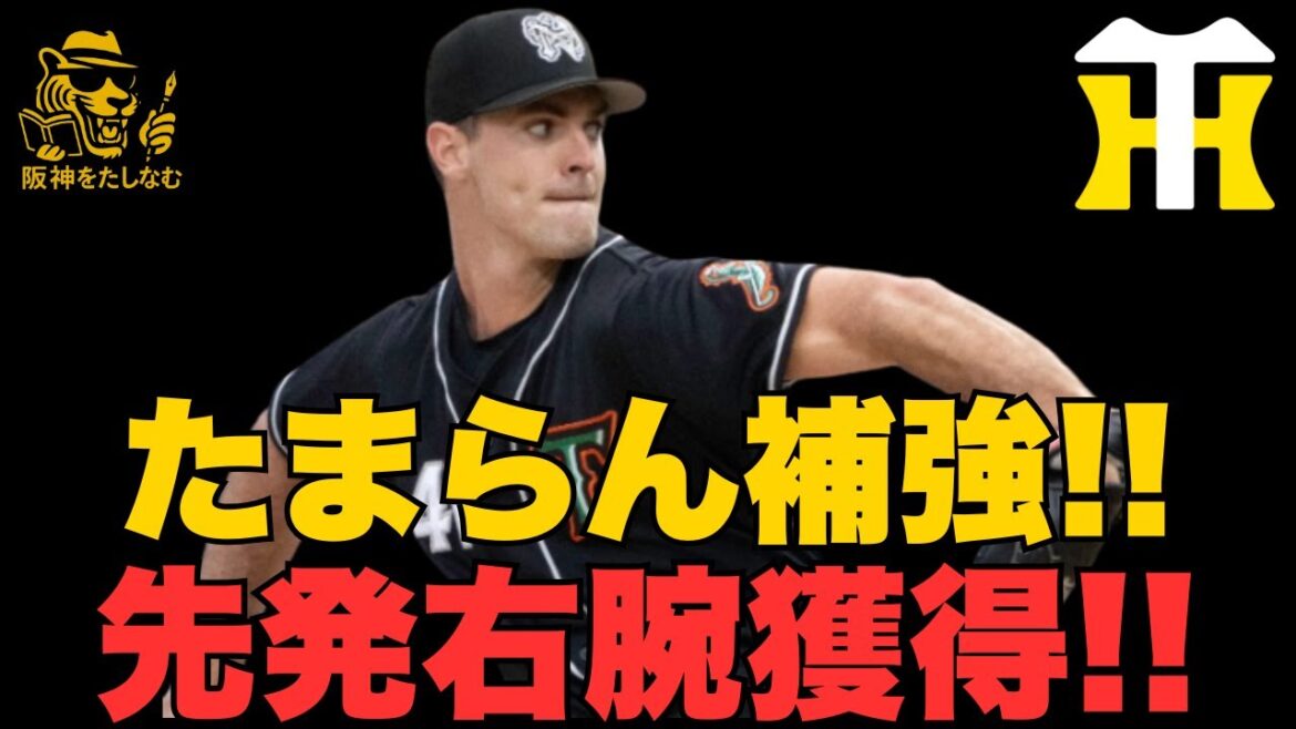 【速報🔥】神補強だ‼️カーソン・ラグズデールを獲得‼️徹底考察‼️#阪神タイガース #阪神 新外国人#新外国人候補 2026#デバニー#ルーカス#モレッタ#立石 正広#谷端 #カーソン・ラグズデール 【速報🔥】神補強だ‼️カーソン・ラグズデールを獲得‼️徹底考察‼️#阪神タイガース #阪神 新外国人#新外国人候補 2026#デバニー#ルーカス#モレッタ#立石 正広#谷端 #カーソン・ラグズデール