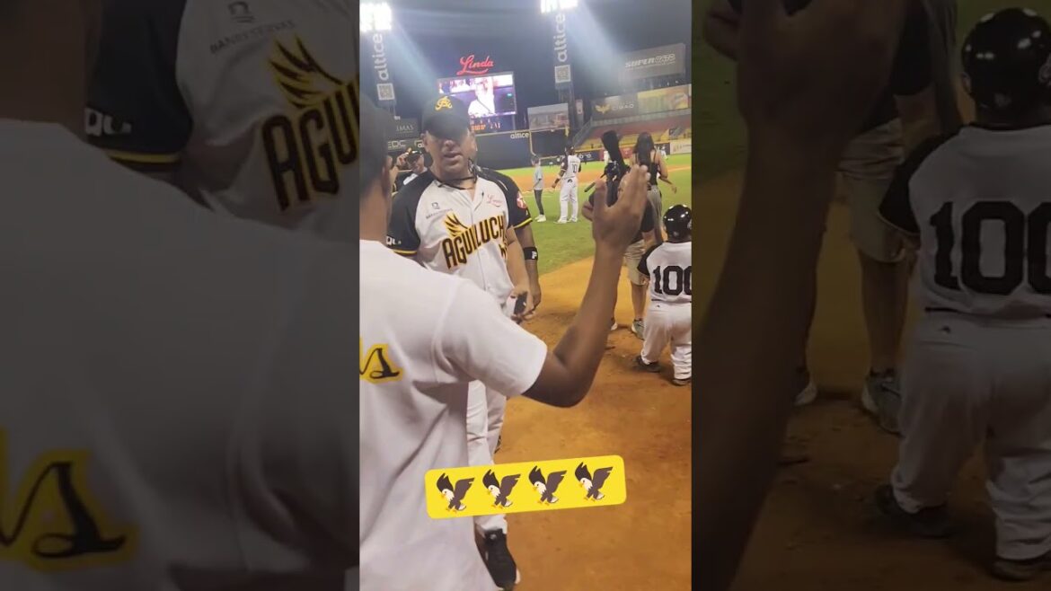 Así están Las Águilas Cibaeñas… #lidom #beisbol #aguilascibaeñas #atiendeeljuegojunior #AntesalaJB Así están Las Águilas Cibaeñas... #lidom #beisbol #aguilascibaeñas #atiendeeljuegojunior #AntesalaJB