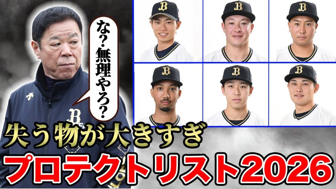 【宝の山】オリックスのプロテクトを考えたらこうなりました。