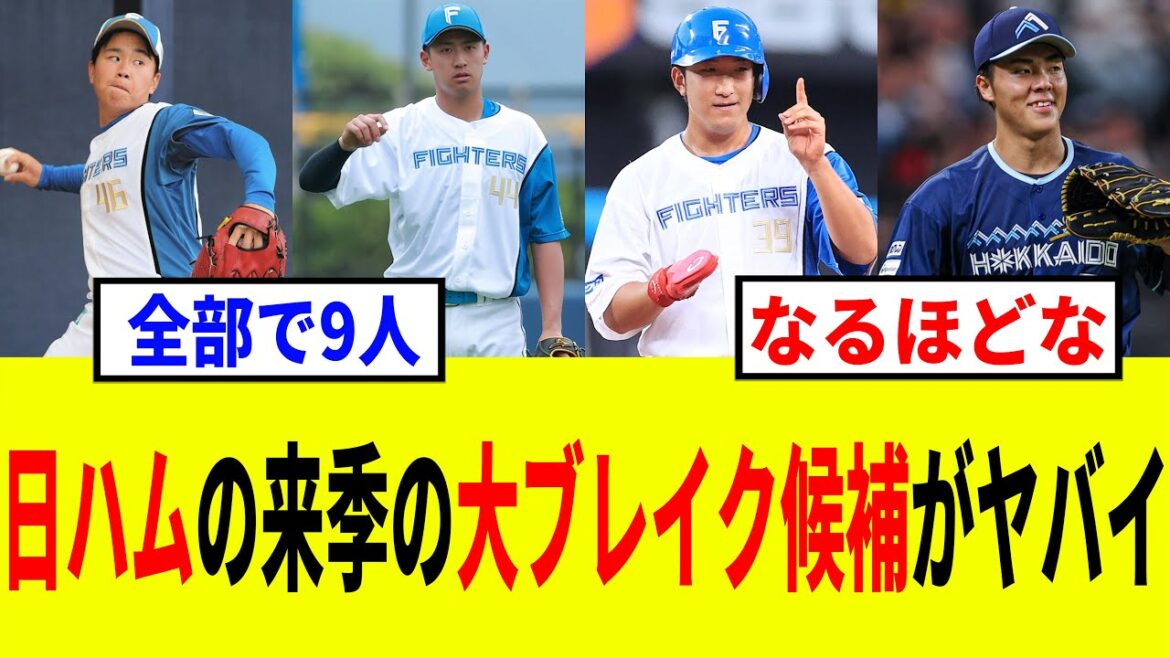 【ファイターズ】日ハムで来季に一気に主力になりそうな選手たち
