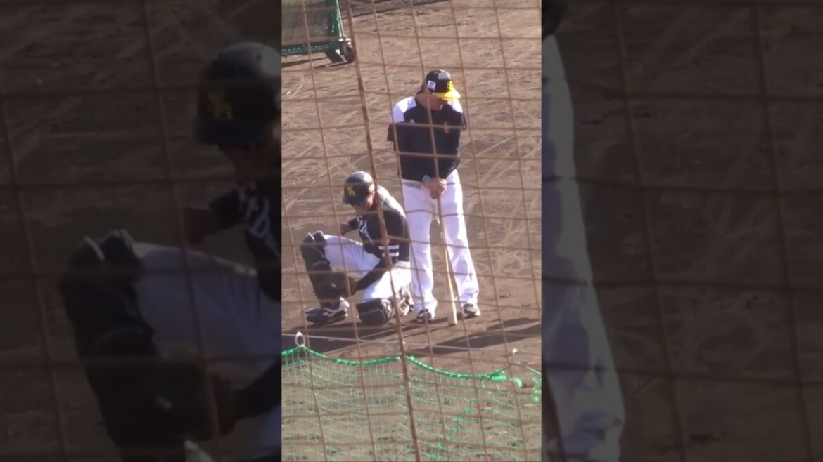 #渡邉陸 #牧原巧汰 捕手は下半身が命 #ホークス秋季キャンプ2022