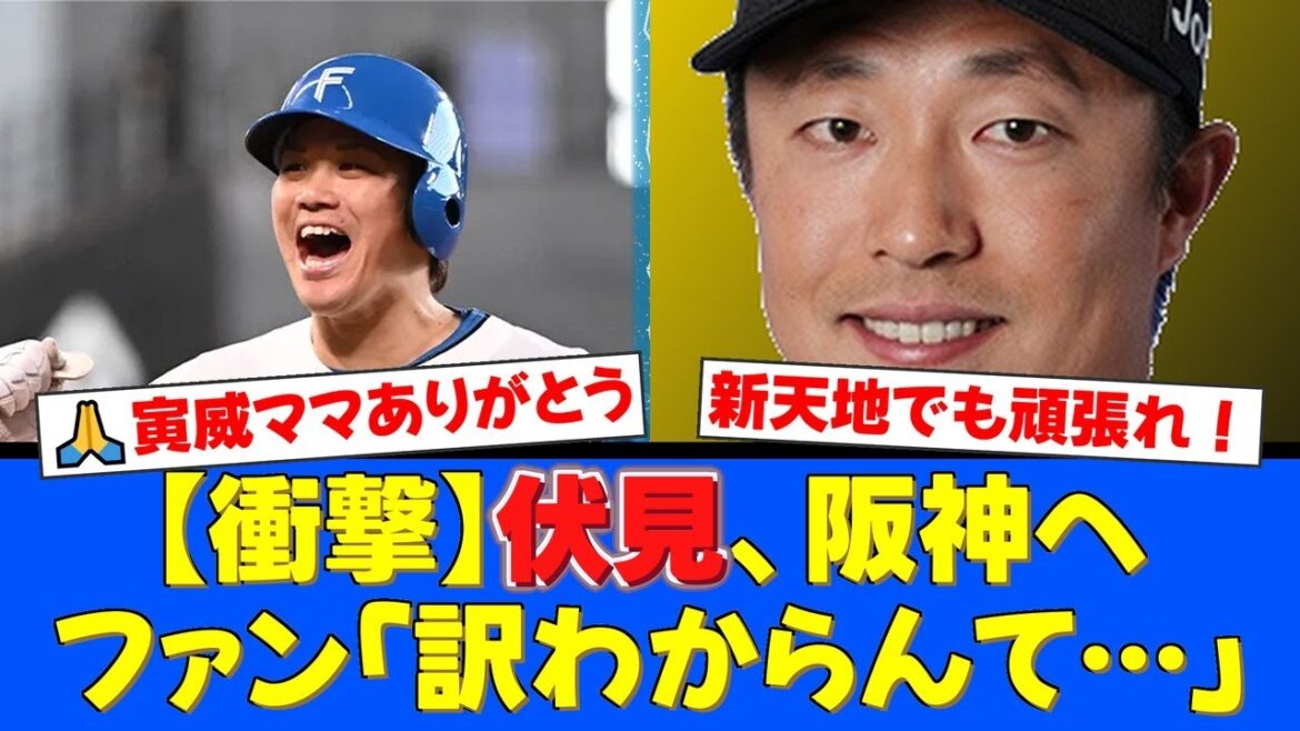 【電撃トレード】伏見寅威が阪神へ…島本浩也が加入でファン騒然!地元に来てくれた寅威ママへの感謝と悲しみの声が止まらない…【プロ野球ファンの反応】 【電撃トレード】伏見寅威が阪神へ…島本浩也が加入でファン騒然!地元に来てくれた寅威ママへの感謝と悲しみの声が止まらない…【プロ野球ファンの反応】