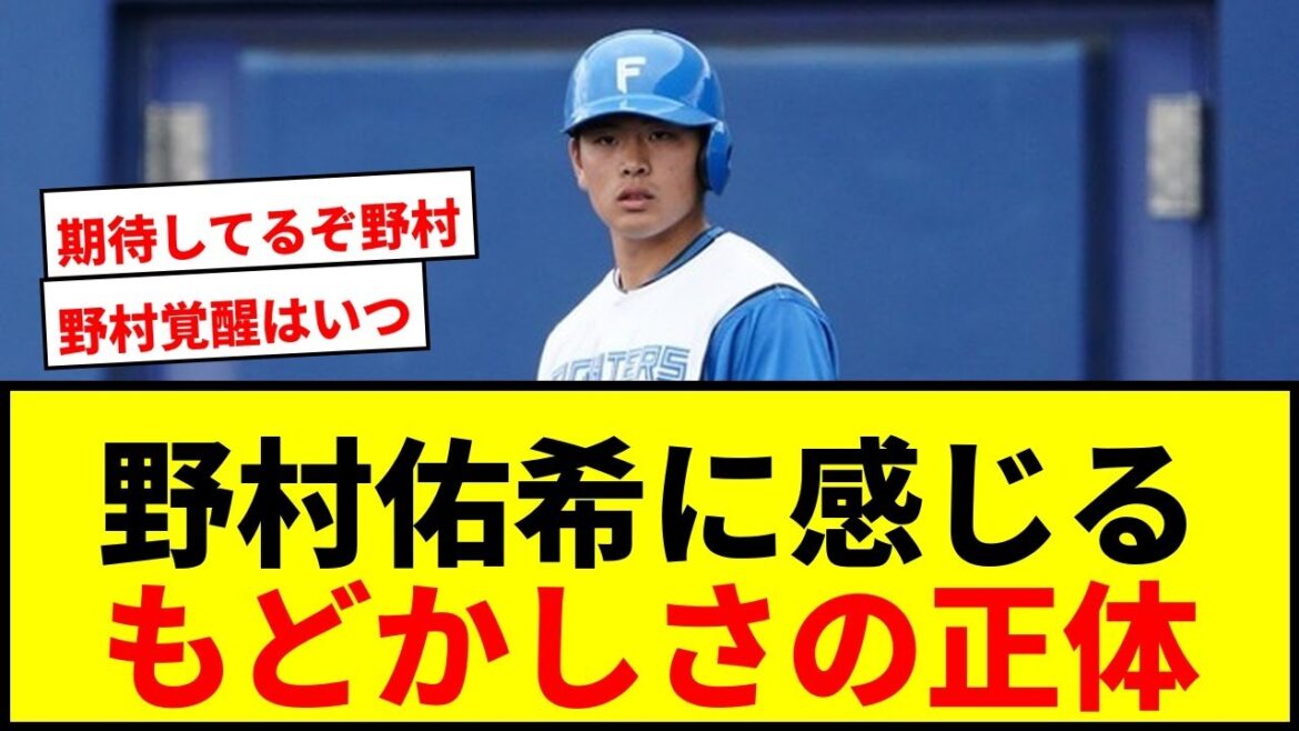 【衝撃】日本ハム野村佑希、開幕4番も殻破れず…先輩松本剛が指摘「気持ちが変われば」 【衝撃】日本ハム野村佑希、開幕4番も殻破れず…先輩松本剛が指摘「気持ちが変われば」