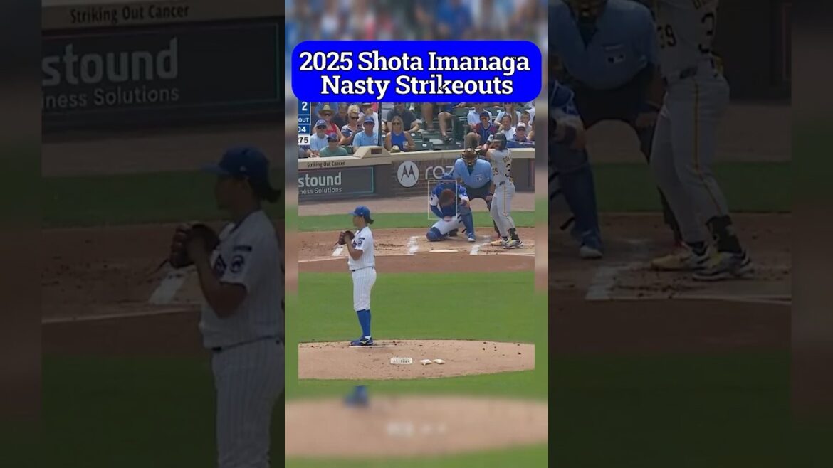 Shota Imanaga Nasty Strikeouts #mlb #pitcher #pitching #baseball #cubs #今永昇太