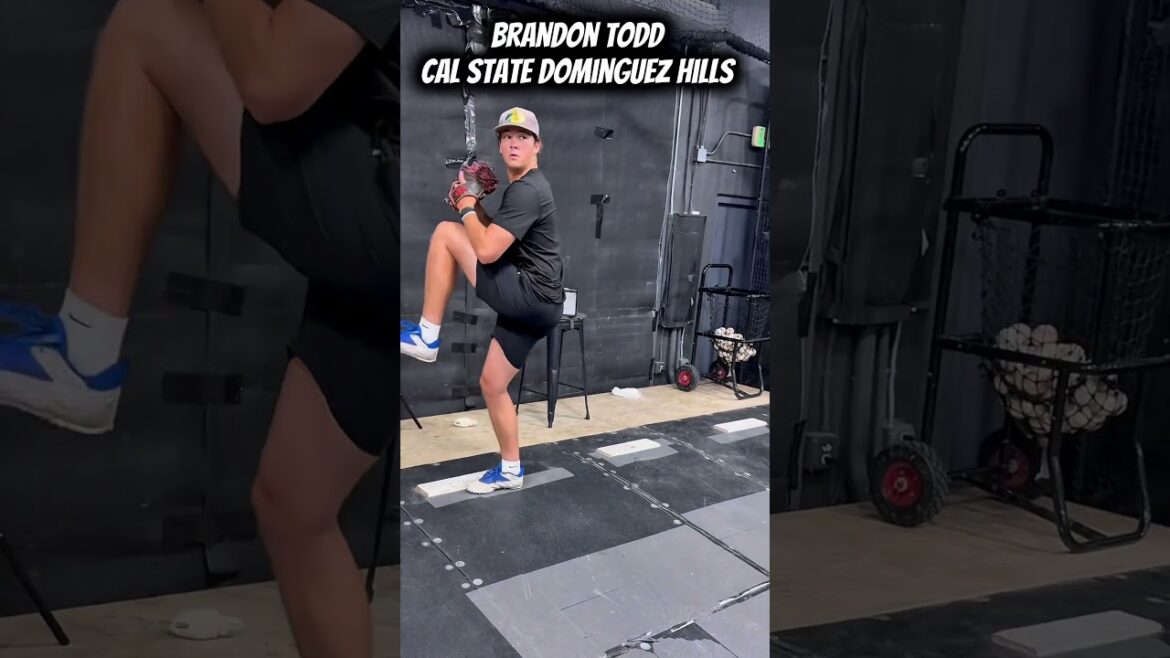 DII BRANDON TODD DOMIGUEZ HILLS RHP #shorts #baseball #cutternation #pitching #mlb #youtube