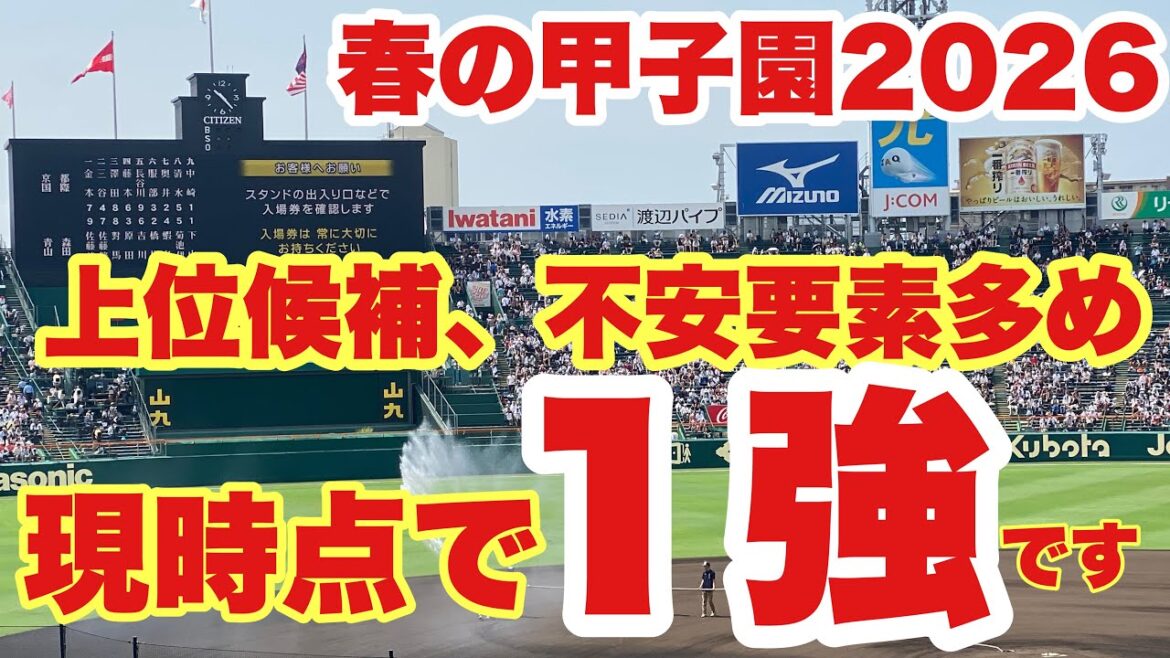 【高校野球】センバツ甲子園２０２６は１強だ❗️