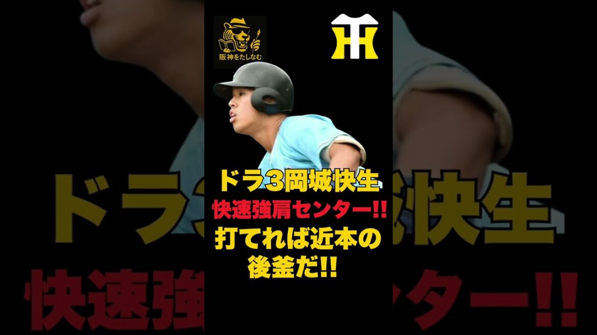 徹底考察🔥阪神岡城 快生が近本の後釜になれれば大きい‼️ポイントは打撃だ‼️#阪神タイガース #谷端将伍 #キャムデバニー #立石#阪神#阪神 ルーカス#阪神 補強#岡城 快生#阪神 ドラフト 徹底考察🔥阪神岡城 快生が近本の後釜になれれば大きい‼️ポイントは打撃だ‼️#阪神タイガース #谷端将伍 #キャムデバニー #立石#阪神#阪神 ルーカス#阪神 補強#岡城 快生#阪神 ドラフト