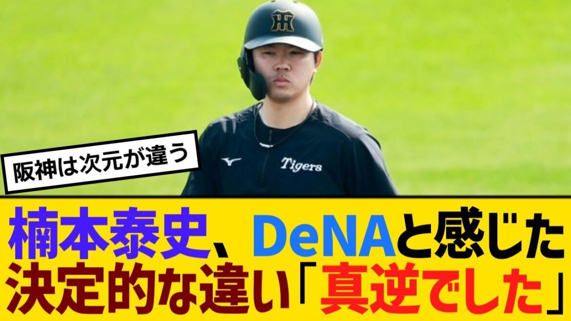 来季からプロスカウトの楠本泰史、DeNAと感じた決定的な違い「真逆でした」【野球】【反応】【考察】 来季からプロスカウトの楠本泰史、DeNAと感じた決定的な違い「真逆でした」【野球】【反応】【考察】