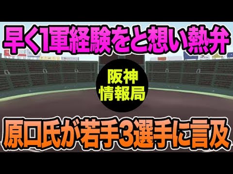 【早く1軍経験をと想い熱弁】原口氏が若手3選手にかなり期待してる件について【阪神タイガース】 【早く1軍経験をと想い熱弁】原口氏が若手3選手にかなり期待してる件について【阪神タイガース】