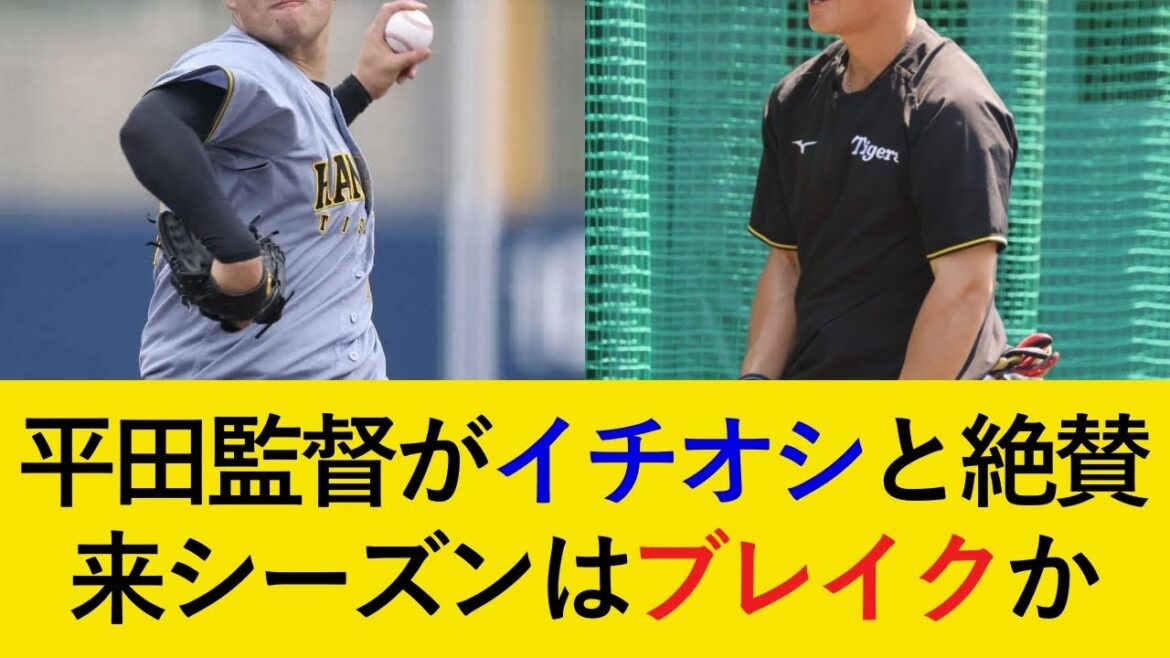 【練習の虫＆超苦労人】平田監督が高く評価する若手2選手が来シーズン大ブレイクへ！新戦力が続々加入する中、若手は台頭できるか【阪神タイガース】