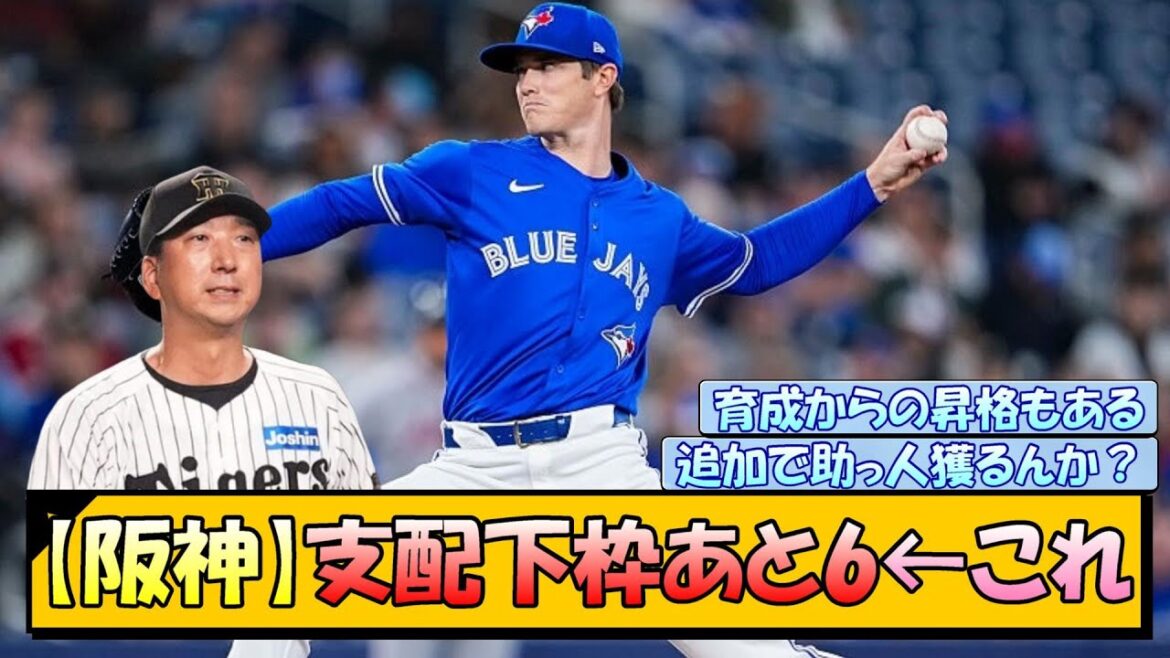 【阪神】支配下枠あと6←これ