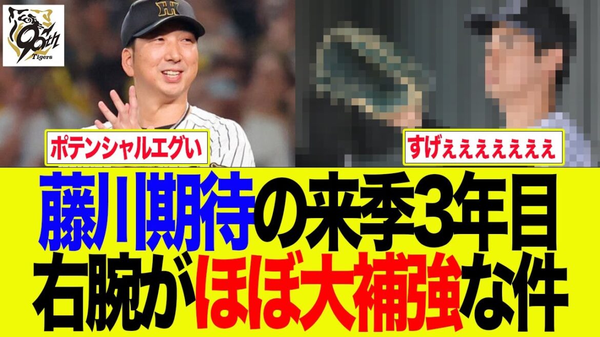 【阪神】藤川期待の来季3年目右腕がほぼ大補強な件 阪神ファンの反応集 【阪神】藤川期待の来季3年目右腕がほぼ大補強な件 阪神ファンの反応集