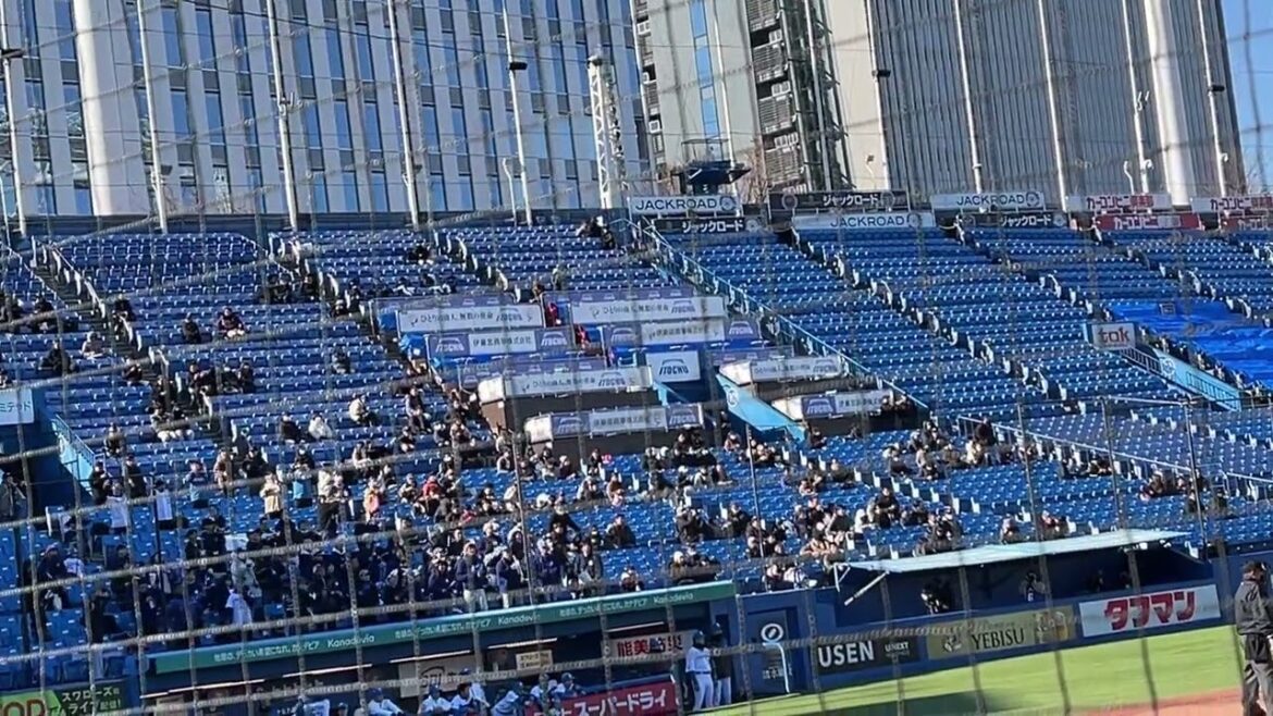 北海道日本ハムファイターズ 谷口 雄也 応援歌【ジュニアトーナメント2025】明治神宮野球場