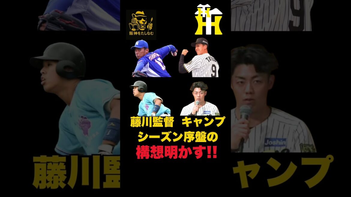 藤川監督キャンプ、シーズン序盤構想明かす‼️打順も壊す‼️固定もしない若手使う‼️【徹底考察】#阪神タイガース #阪神　新外国人＃新外国人候補　2026#デバニー＃ルーカス＃モレッタ＃立石 正広