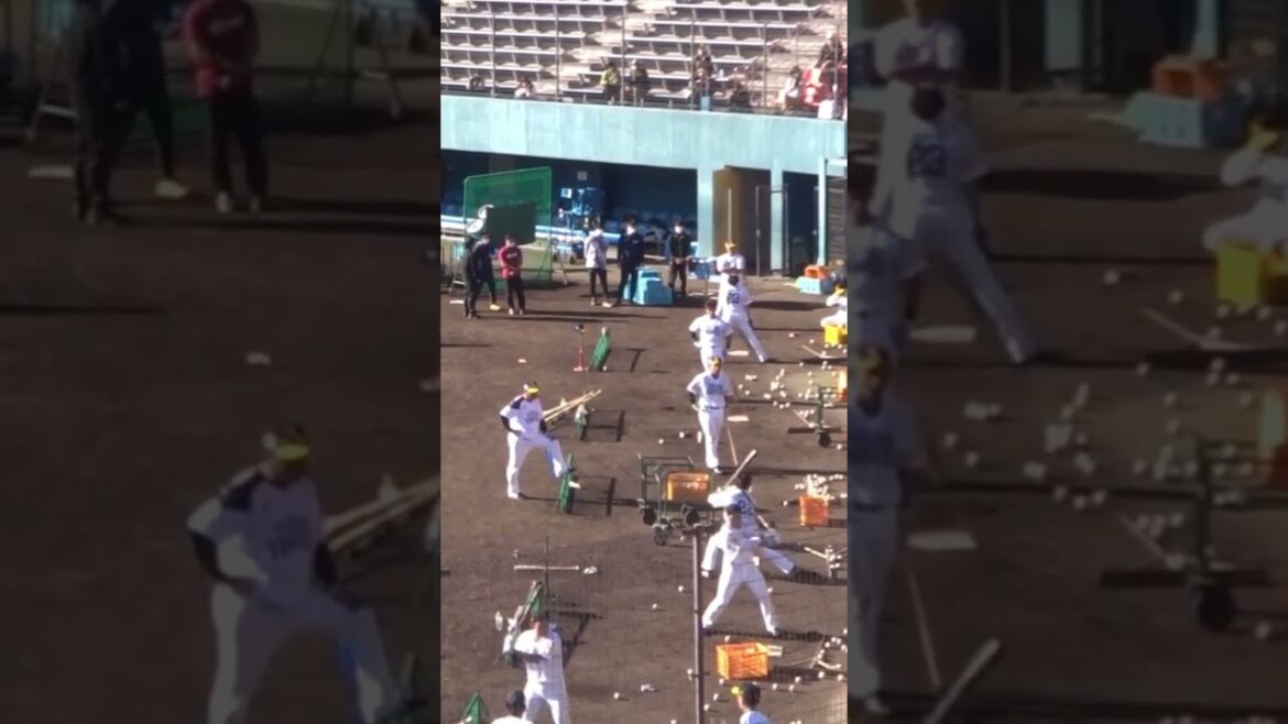 ホークス・牧原巧汰、周東佑京選手ほか、トスバッティング