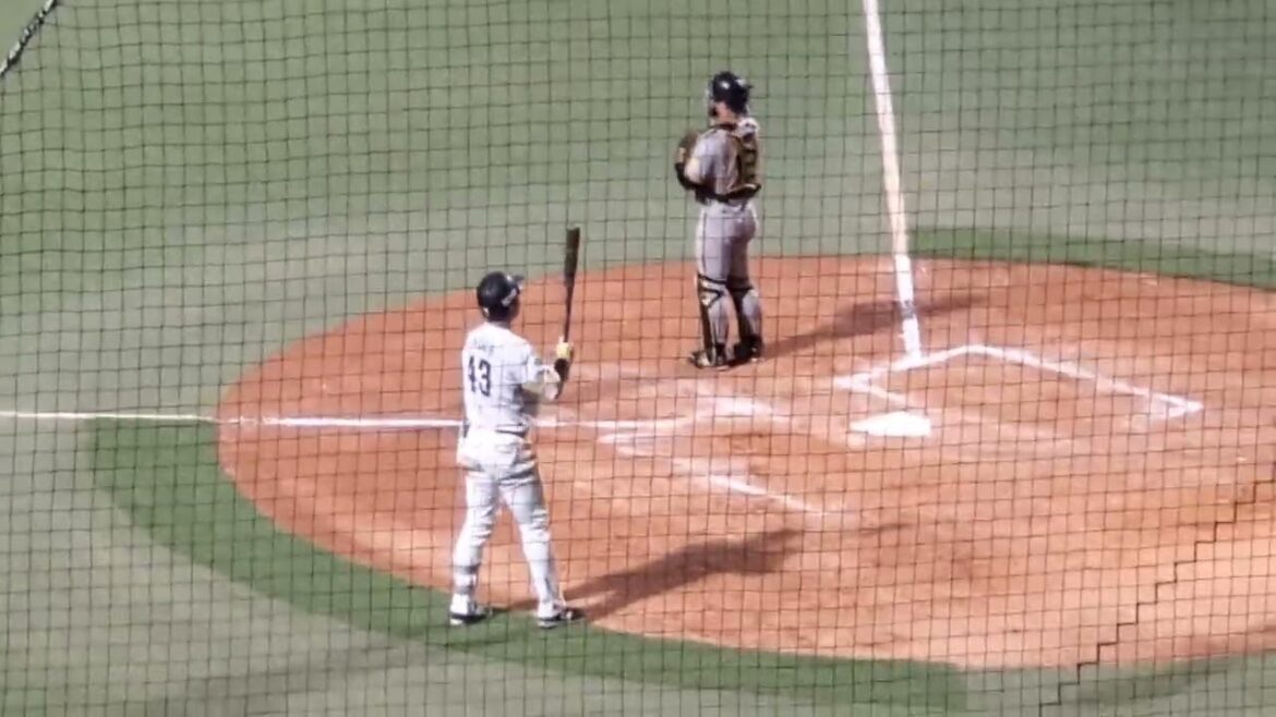 20240817　井上朋也 登場曲【｢junkie｣／swetty】　6回ｳﾗ　福岡ｿﾌﾄﾊﾞﾝｸﾎｰｸｽ2軍@ﾀﾏﾎｰﾑ ｽﾀｼﾞｱﾑ筑後［ｳｴｽﾀﾝ･ﾘｰｸﾞ 2軍戦］ﾀﾏｽﾀ筑後