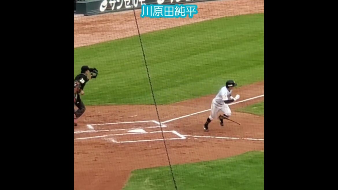 20251112　#川原田純平　#打撃フォーム　#バッティング　#打撃　#バッティング打撃　#shorts@MAZDA Zoom-Zoom ｽﾀｼﾞｱﾑ広島［ｴｲﾌﾞﾙ ﾄﾗｲｱｳﾄ2025］