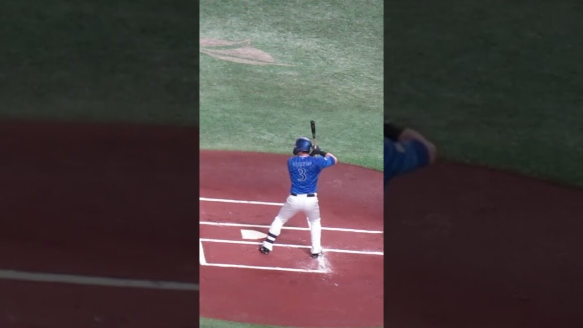 【ベイスターズ】オースティンのバッティングフォーム2024年4月6日 読売ジャイアンツ対 横浜DeNAベイスターズ #オースティン