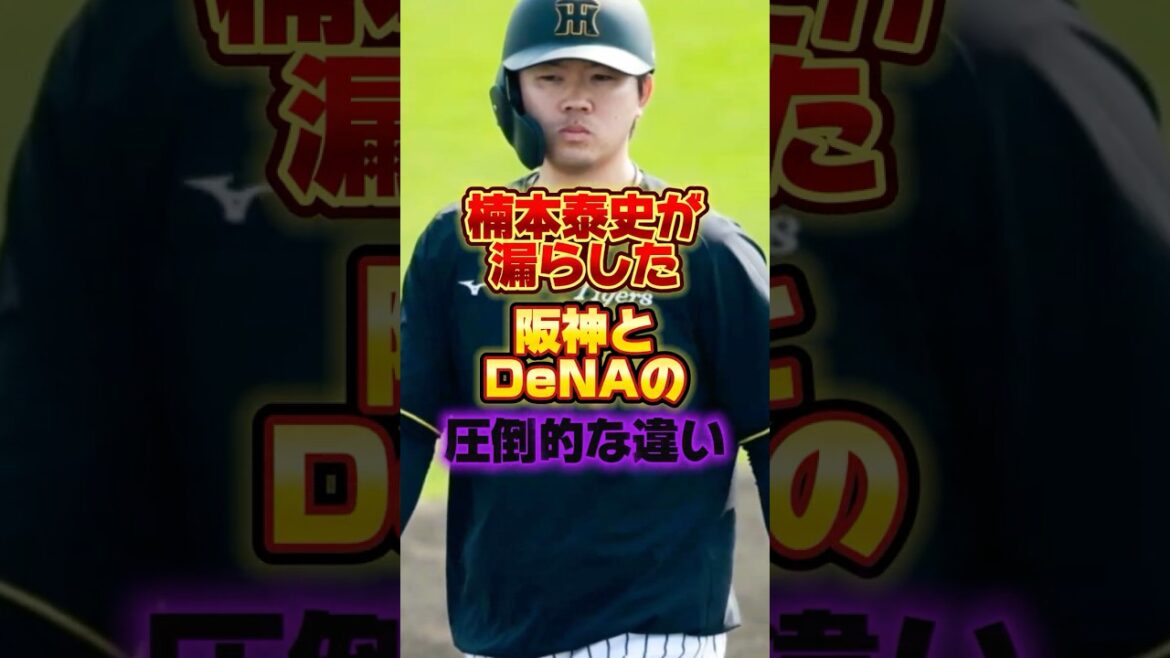 楠本泰史が漏らした阪神とDeNAの圧倒的な違い #プロ野球 #野球 #shorts