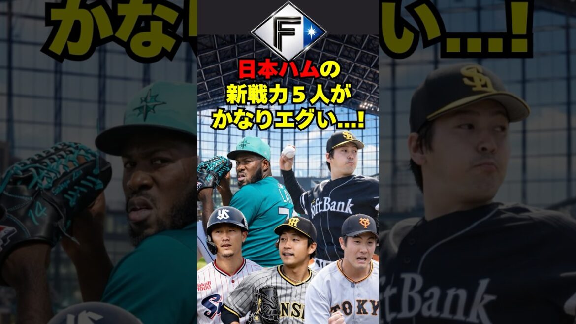 【日本ハム】新戦力が5人ともかなりエグイ・・・