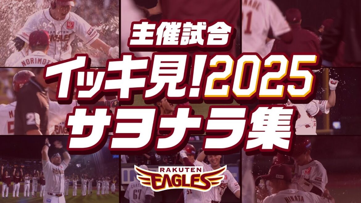 【⚾年末企画⚾】イッキ見！2025シーズン サヨナラ集