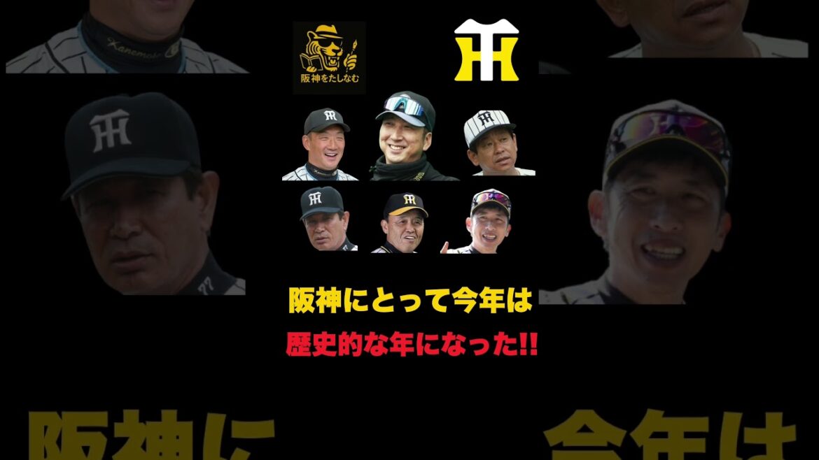 今年一年ありがとうございました‼️阪神にとって今年は歴史的な年になった‼️【徹底考察】#阪神タイガース #阪神　新外国人＃新外国人候補　2026#デバニー＃ルーカス＃モレッタ＃立石 正広＃谷端 将伍