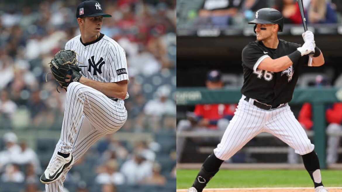 西武が獲得 アラン・ワイナンス マーク・ペイトンとの対戦(全投球)