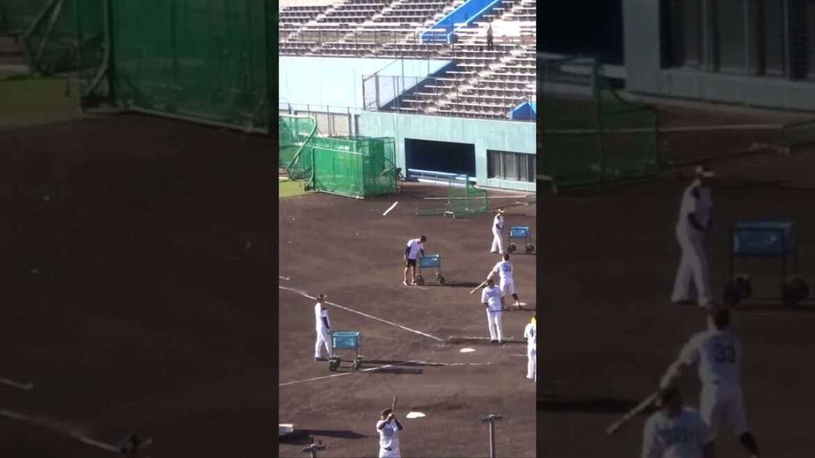 #柳町達 #谷川原健太 #渡邉陸 #増田珠 ロングティー #ホークス秋季キャンプ2022