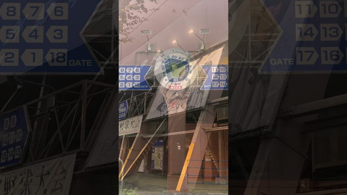 謹賀新年2026 #swallows #プロ野球 #shorts