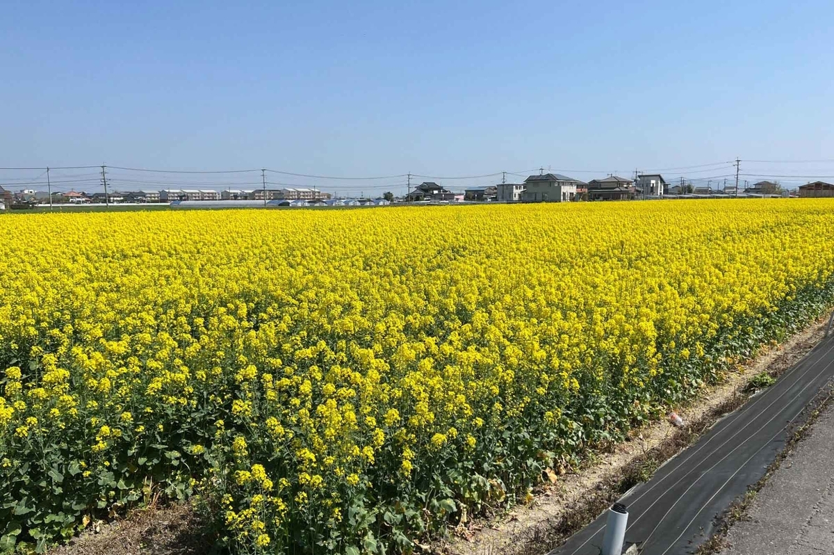 往路でお弁当を届けて復路でわかめをスーパーへ届けた約17kmの自律飛行