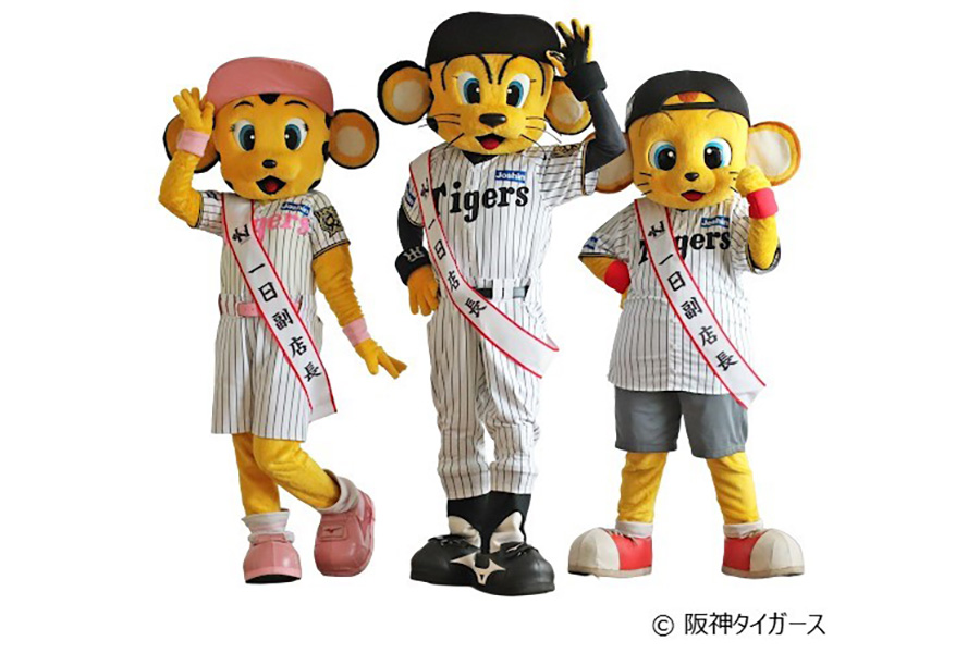 左から阪神タイガースの人気キャラクター、ラッキー、トラッキー、キー太。勤務日時は1月3日、勤務時間・勤務場所は未定