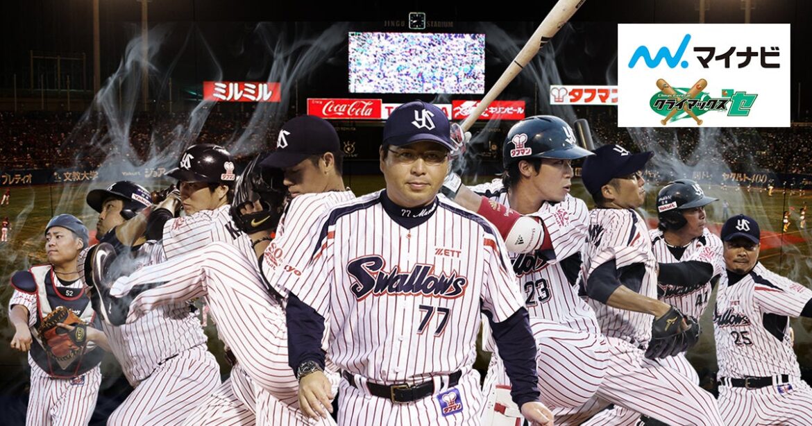 2015 マイナビ クライマックスシリーズ セ | 観戦・イベント