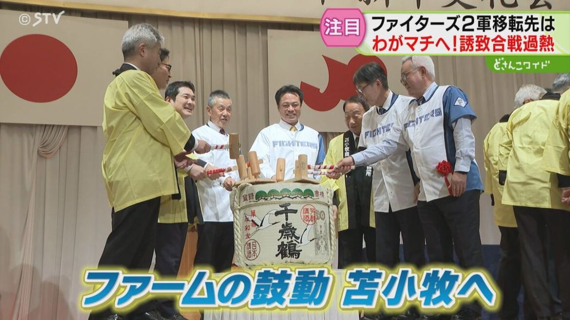 ファイターズ2軍誘致合戦 苫小牧・王子製紙が市に協力姿勢 江別市も“候補地”明かす 北海道(2026年1月10日掲載)|STV NEWS NNN 共有