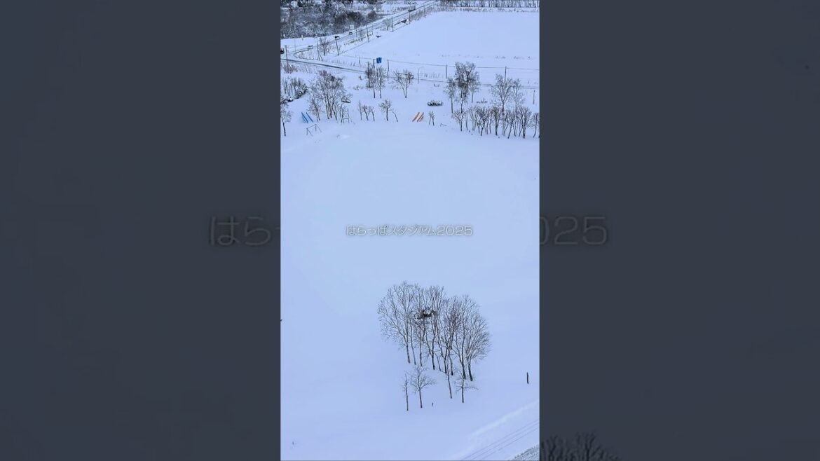 はらっぱスタジアム2025