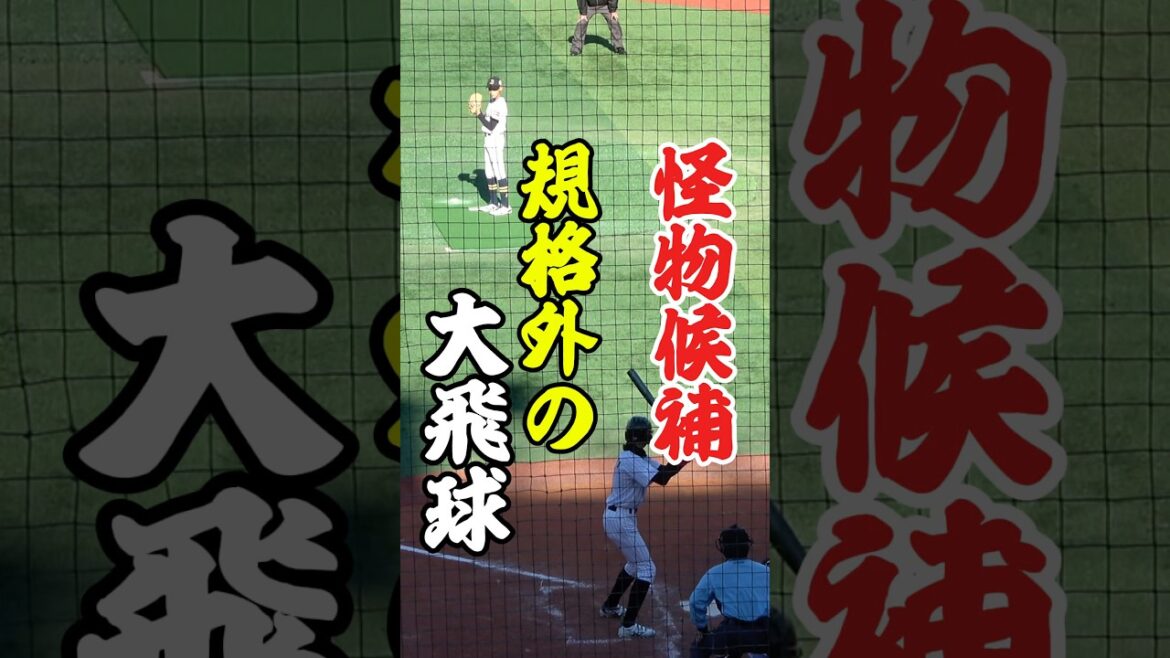 【怪物候補】小学生の打球じゃないｗ　規格外の大飛球！　千葉ロッテマリーンズ　オリックス　ジュニアトーナメント　#小学生 #野球 #プロ野球 #千葉ロッテマリーンズ #怪物 #baseball