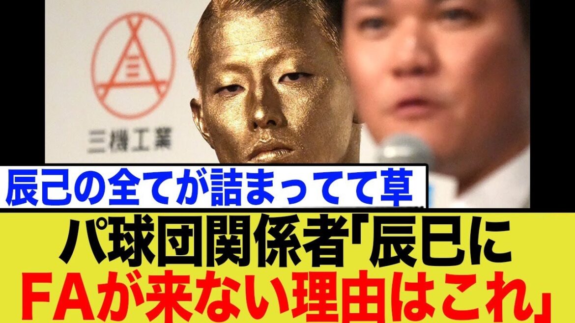 パ球団関係者「辰巳にFAが来ない理由はこれ」