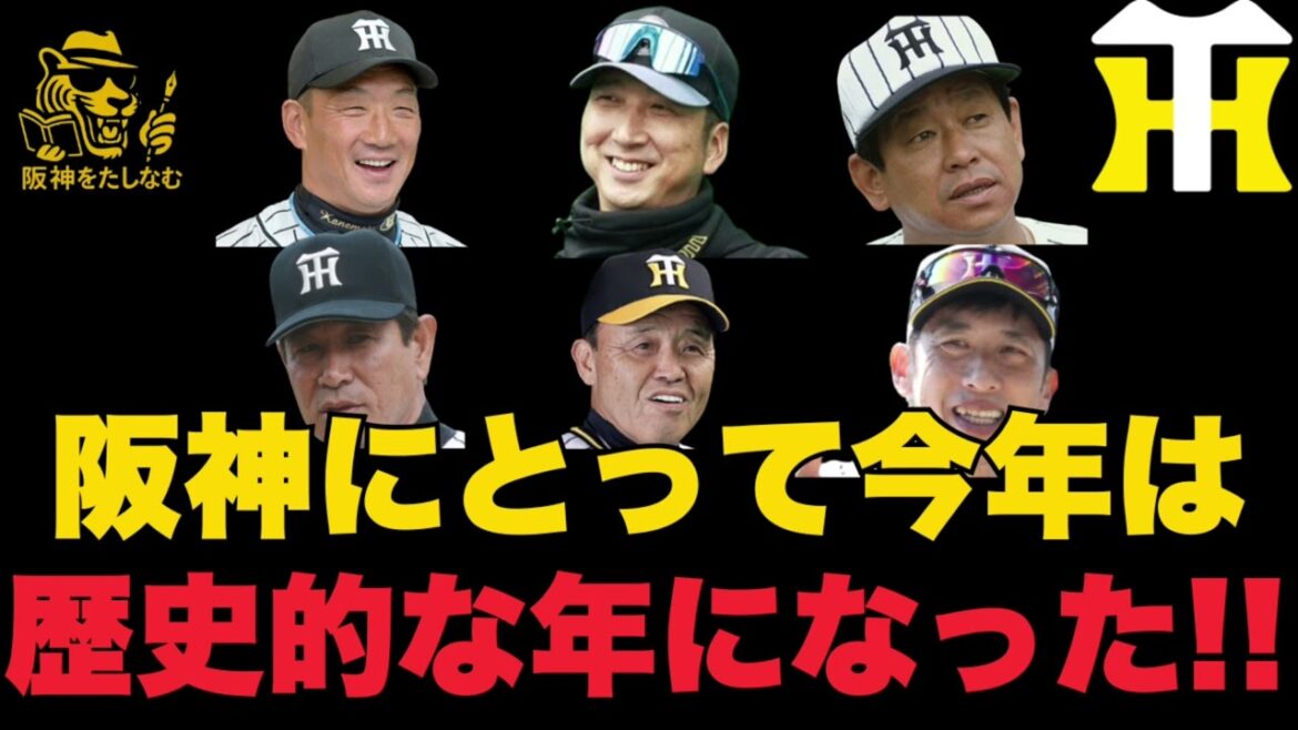 今年一年ありがとうございました‼️阪神にとって今年は歴史的な年になった‼️【徹底考察】#阪神タイガース #阪神 新外国人#新外国人候補 2026#デバニー#ルーカス#モレッタ#立石 正広#谷端 将伍 今年一年ありがとうございました‼️阪神にとって今年は歴史的な年になった‼️【徹底考察】#阪神タイガース #阪神 新外国人#新外国人候補 2026#デバニー#ルーカス#モレッタ#立石 正広#谷端 将伍