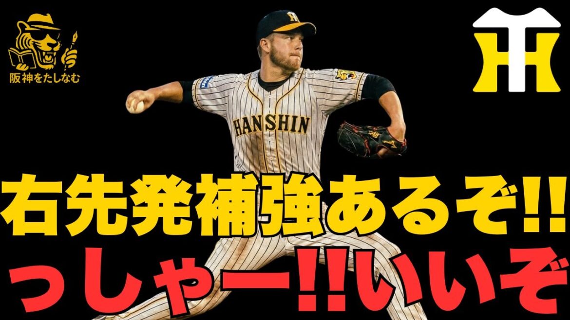 フロントが明言🔥デュープの代役探してる‼️佐藤輝、才木が年越し交渉⁉️真意は❓#阪神タイガース #阪神　新外国人＃新外国人候補　2026#デバニー＃ルーカス＃モレッタ＃立石 正広＃谷端 将伍＃伏見
