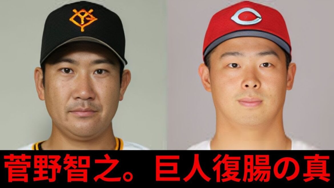 「菅野智之、メジャー挑戦終了で古巣巨人復帰へ!衝撃の決断の裏側」 「菅野智之、メジャー挑戦終了で古巣巨人復帰へ!衝撃の決断の裏側」