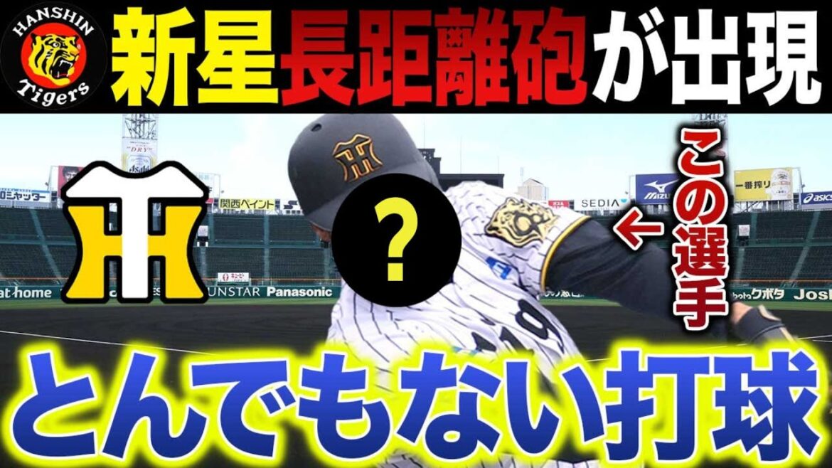 とんでもない新星･長距離砲～飛距離と身体能力がハンパない新戦力が台頭する【2026年阪神】
