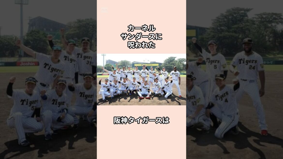「カーネルサンダースに呪われた」阪神タイガースに関する雑学#阪神タイガース #プロ野球 #shorts