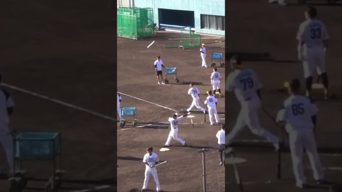 ホークス・柳町達、谷川原健太、渡邉陸、増田珠選手のエンドレスロングティー