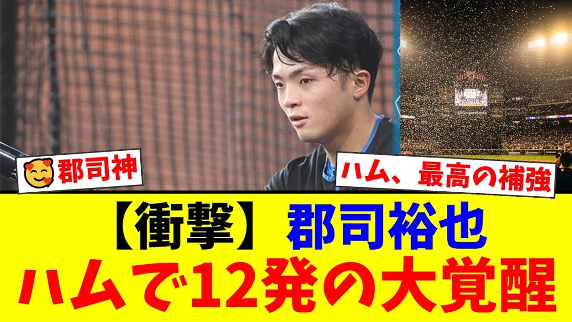 中日で0本塁打だった郡司裕也が日本ハムで12発の主軸へ!4ポジション兼務&UZRリーグ2位の守備力で覚醒した慶大三冠王の現在とは?【プロ野球ファンの反応】 中日で0本塁打だった郡司裕也が日本ハムで12発の主軸へ!4ポジション兼務&UZRリーグ2位の守備力で覚醒した慶大三冠王の現在とは?【プロ野球ファンの反応】