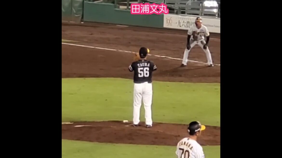 20240825　#田浦文丸　#投球練習　#shorts　福岡ｿﾌﾄﾊﾞﾝｸﾎｰｸｽ2軍　投球ﾌｫｰﾑ@ほっともっとﾌｨｰﾙﾄﾞ神戸［ｳｴｽﾀﾝ･ﾘｰｸﾞ 2軍戦］