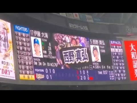 20240818 西野真弘 偶数打席の登場曲【「Delusion:All」/ONE OK ROCK】 3回ウラ第2打席 オリックス・バファローズ@京セラドーム大阪・レフト外野下段 夏の陣2024 20240818 西野真弘 偶数打席の登場曲【「Delusion:All」/ONE OK ROCK】 3回ウラ第2打席 オリックス・バファローズ@京セラドーム大阪・レフト外野下段 夏の陣2024