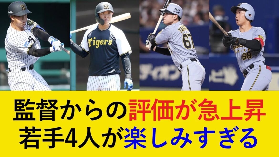 【若手有望株・野手編】藤川監督がベタ惚れし、来季のブレイクが期待される若手4選手が楽しみすぎる！【阪神タイガース】