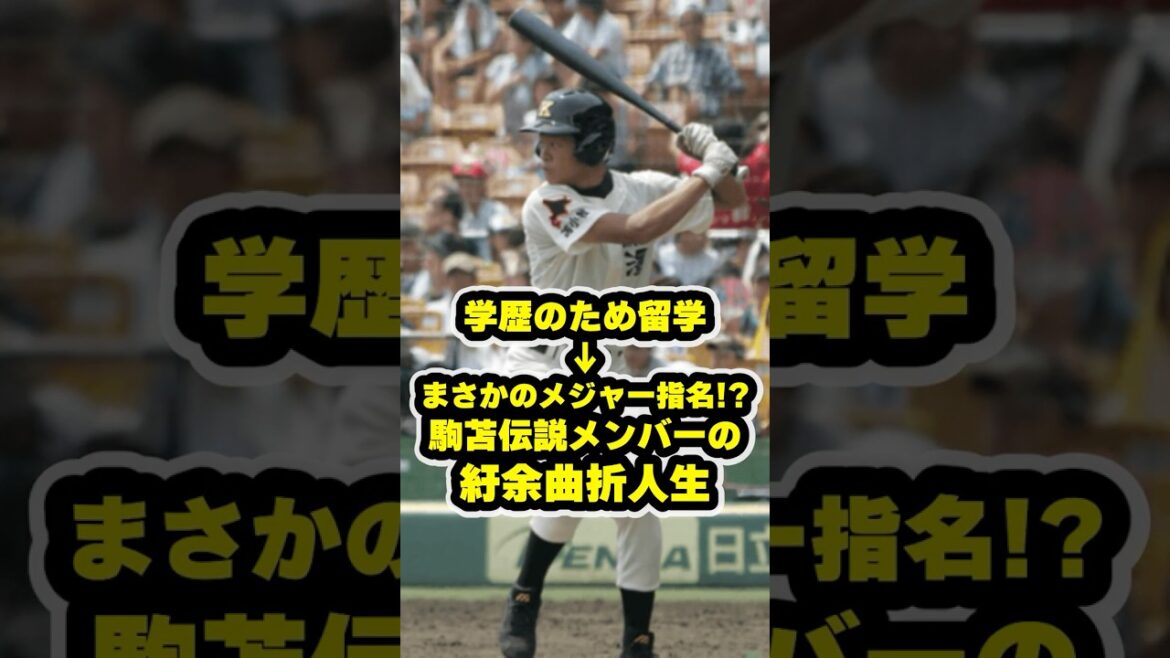 学歴のため留学→まさかのメジャー指名!?駒苫伝説メンバーの紆余曲折人生 #野球 #甲子園 #高校野球 学歴のため留学→まさかのメジャー指名!?駒苫伝説メンバーの紆余曲折人生 #野球 #甲子園 #高校野球