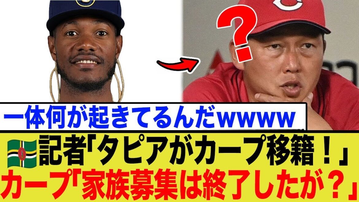 ドミニカ記者団がリークした衝撃情報!カープの補強戦略と外国人枠の真実【深掘り】 ドミニカ記者団がリークした衝撃情報!カープの補強戦略と外国人枠の真実【深掘り】