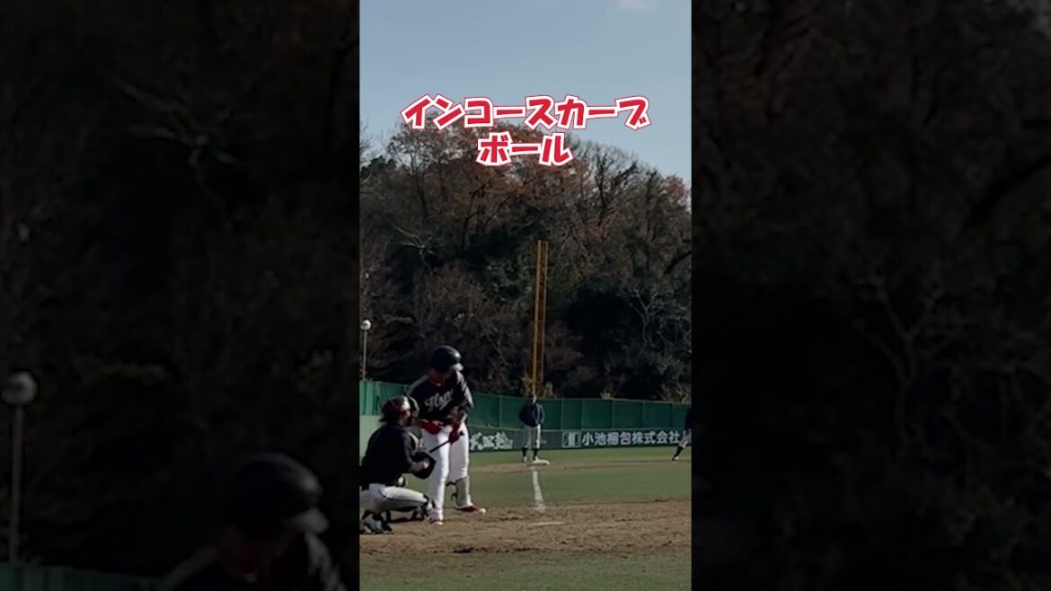 【全球】昨年大きく成長した見逃し　#shorts #baseball #野球  #バッティング #野球のミカタ #打撃探究部屋